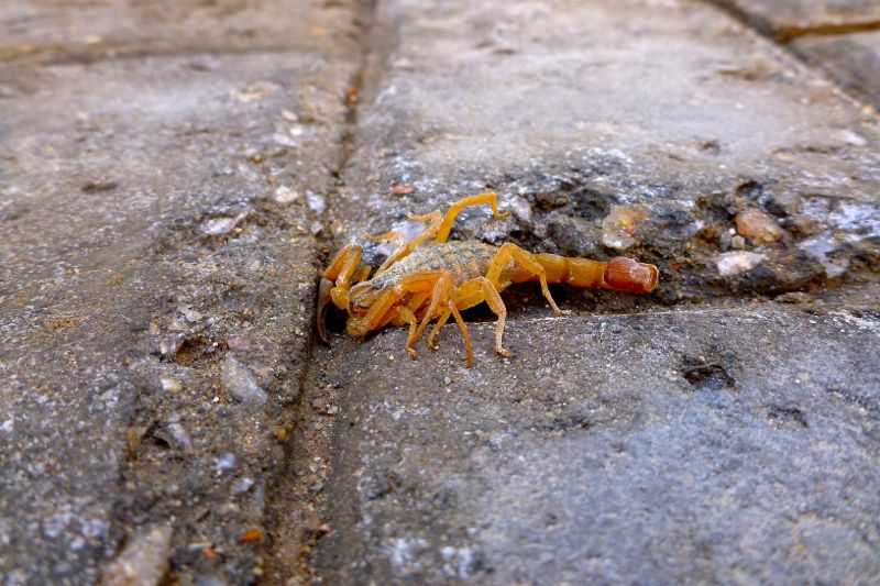 Namibia